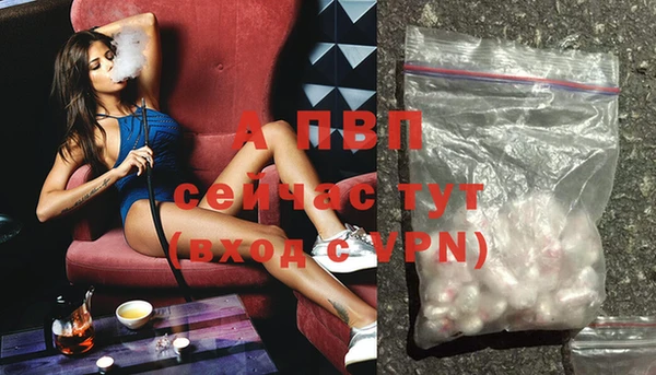 ECSTASY Михайлов