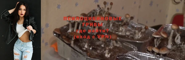 ECSTASY Михайлов