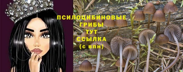 наркотики Михайловка