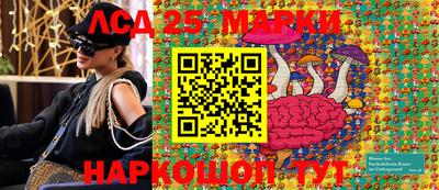 стаф Нальчик