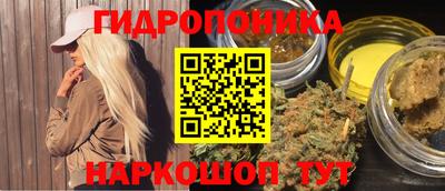 стаф Нальчик