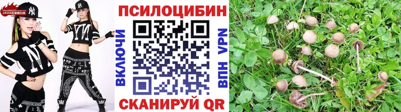 Псилоцибиновые грибы MAGIC MUSHROOMS  Купить где  Сальск 