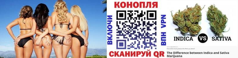 Купить закладки  Сальск  Бошки марихуана планчик 