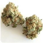 Шишки "White Widow"  (Белая вдова)  Гидропоника -  Бошка VHQ в Сальске