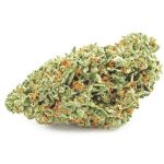 Шишки OG Kush  (Гидропоника, бошки) VHQ в Сальске